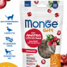 Лакомство Monge Gift Sterilised для стерилизованных кошек "Хрустящие подушечки с начинкой" с уткой и клюквой 60 г