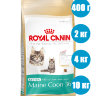 Royal Canin Kitten Maine Coon Корм для котят породы мейн кун