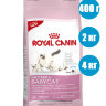 Royal Canin Mother & Babycat Корм для котят до 4 месяцев, беременных и кормящих кошек