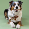 Игрушка Mr.Kranch для собак мелких и средних пород Звездочка с канатом и пищалкой 26х16х5см