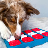 Nina Ottosson игра-головоломка для собак Brick, 2 (средний) уровень сложности