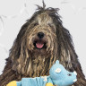 Игрушка Mr.Kranch для собак "Бегемотик" с карманами под лакомство 36 см