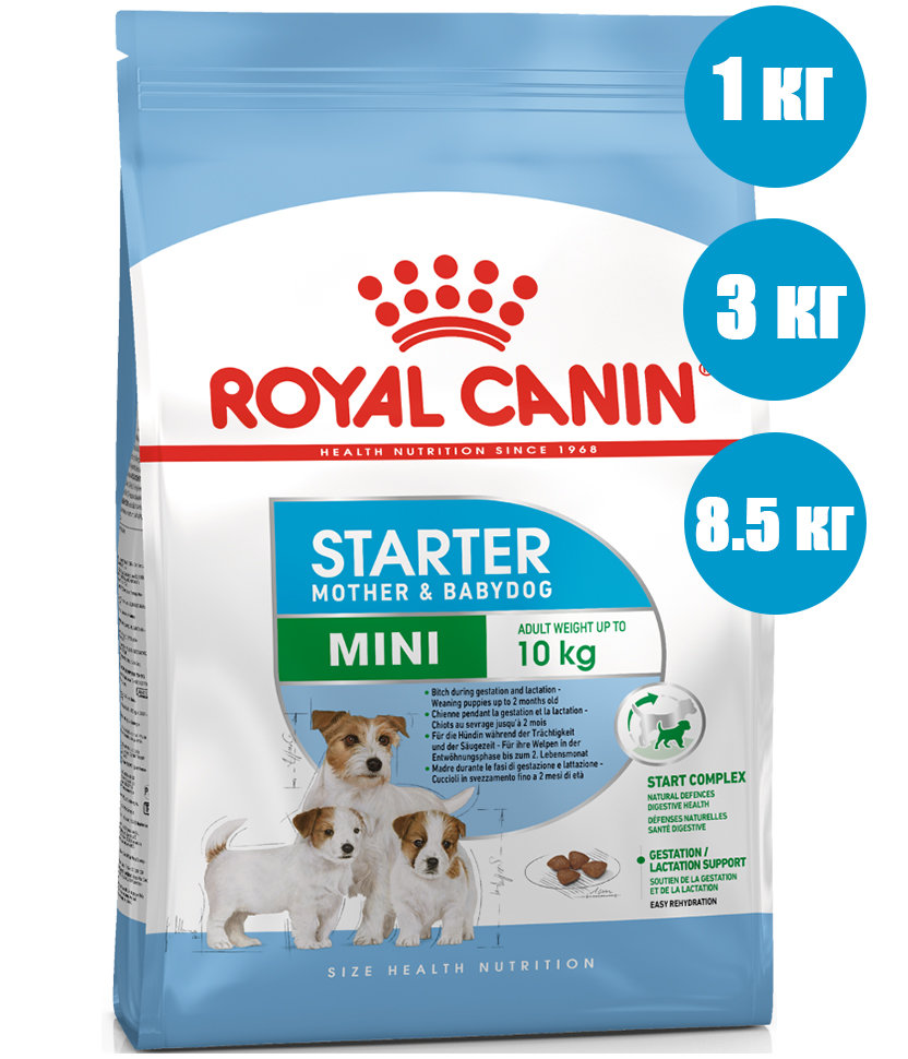Royal Canin Mini Starter Для щенков малых пород 3 нед. - 2 мес., беременных и кормящих сук