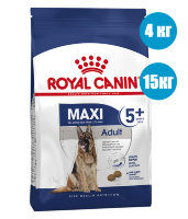 Royal Canin Maxi Adult 5+ Корм для собак старше 5 лет