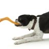 West Paw Zogoflex игрушка для собак Bumi L 25,4 см перетяжка оранжевая