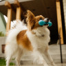 West Paw Zogoflex игрушка для собак гантеля Hurley XS 11,5 см голубая
