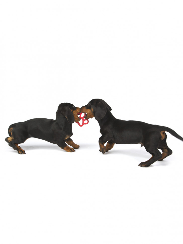 BAMA PET игрушка для собак ORMA, резина, цвета в ассортименте