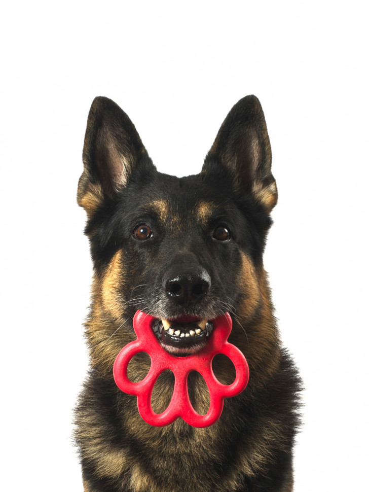 BAMA PET игрушка для собак ORMA, резина, цвета в ассортименте